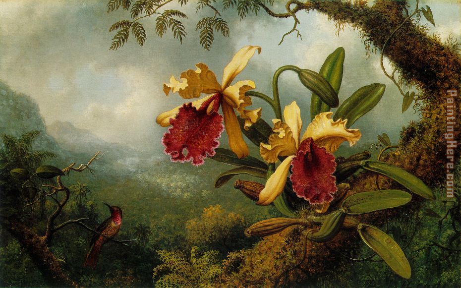 Orchids and Hummingbird painting - Martin Johnson Heade Orchids and Hummingbird art painting